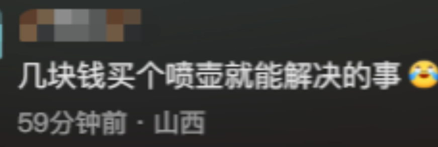 事情闹大了,终于开始彻查了!